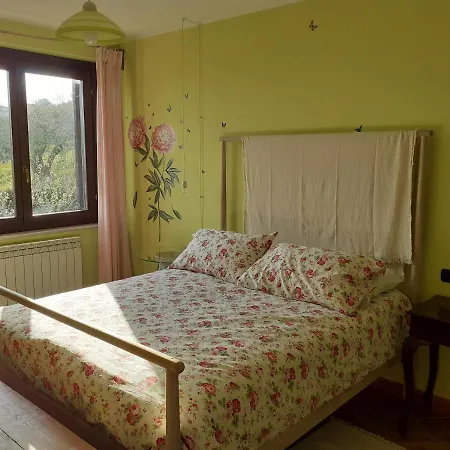 公寓 Tra Gli Ulivi 圣安杰洛城