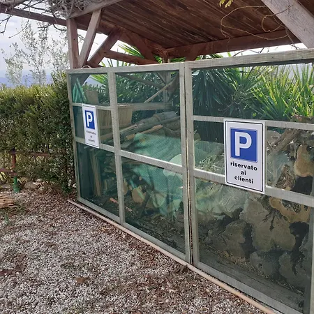 Tra Gli Ulivi