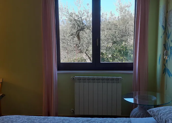 Tra Gli Ulivi * Citta Sant'Angelo